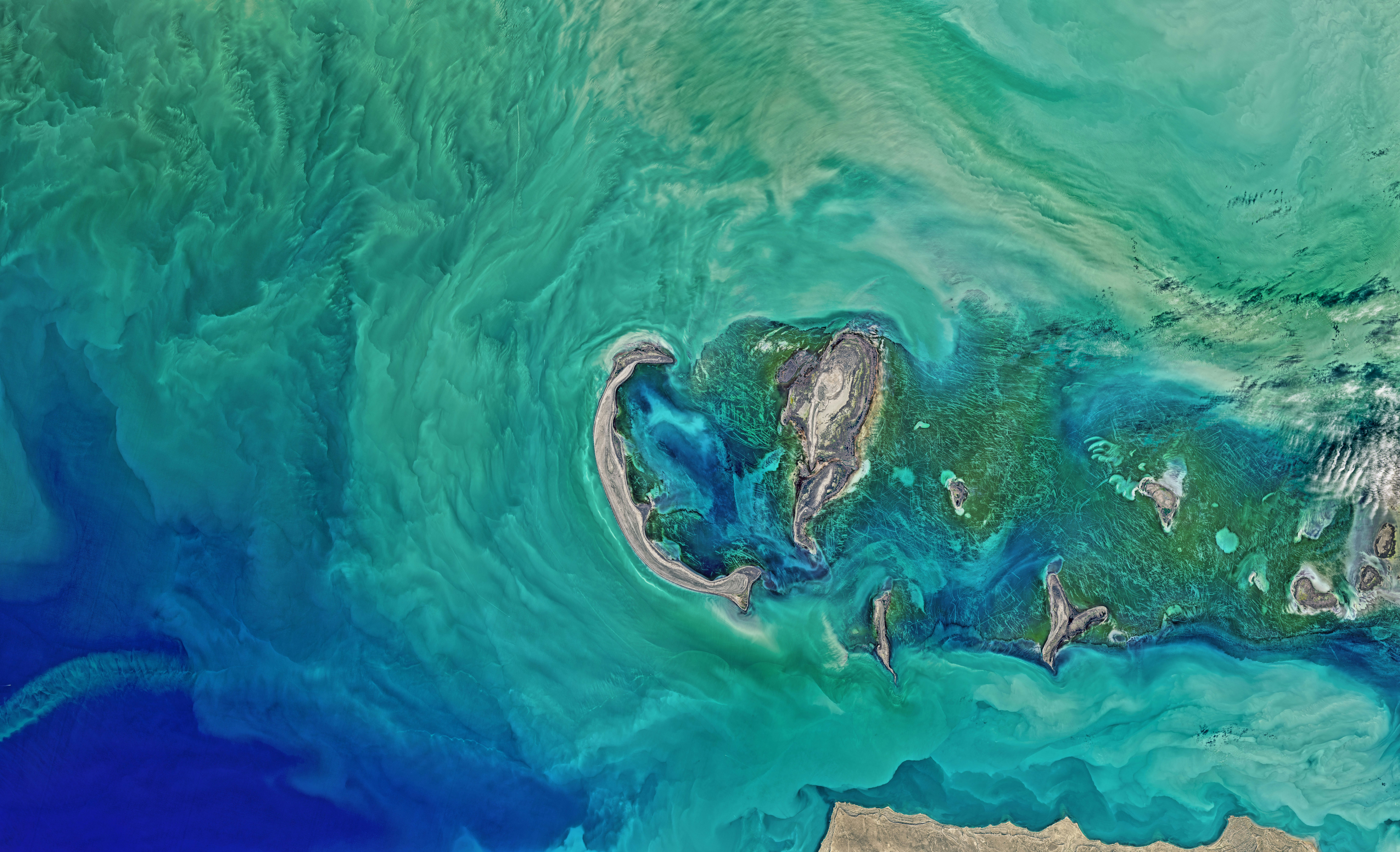 IPBES receives prestigious award